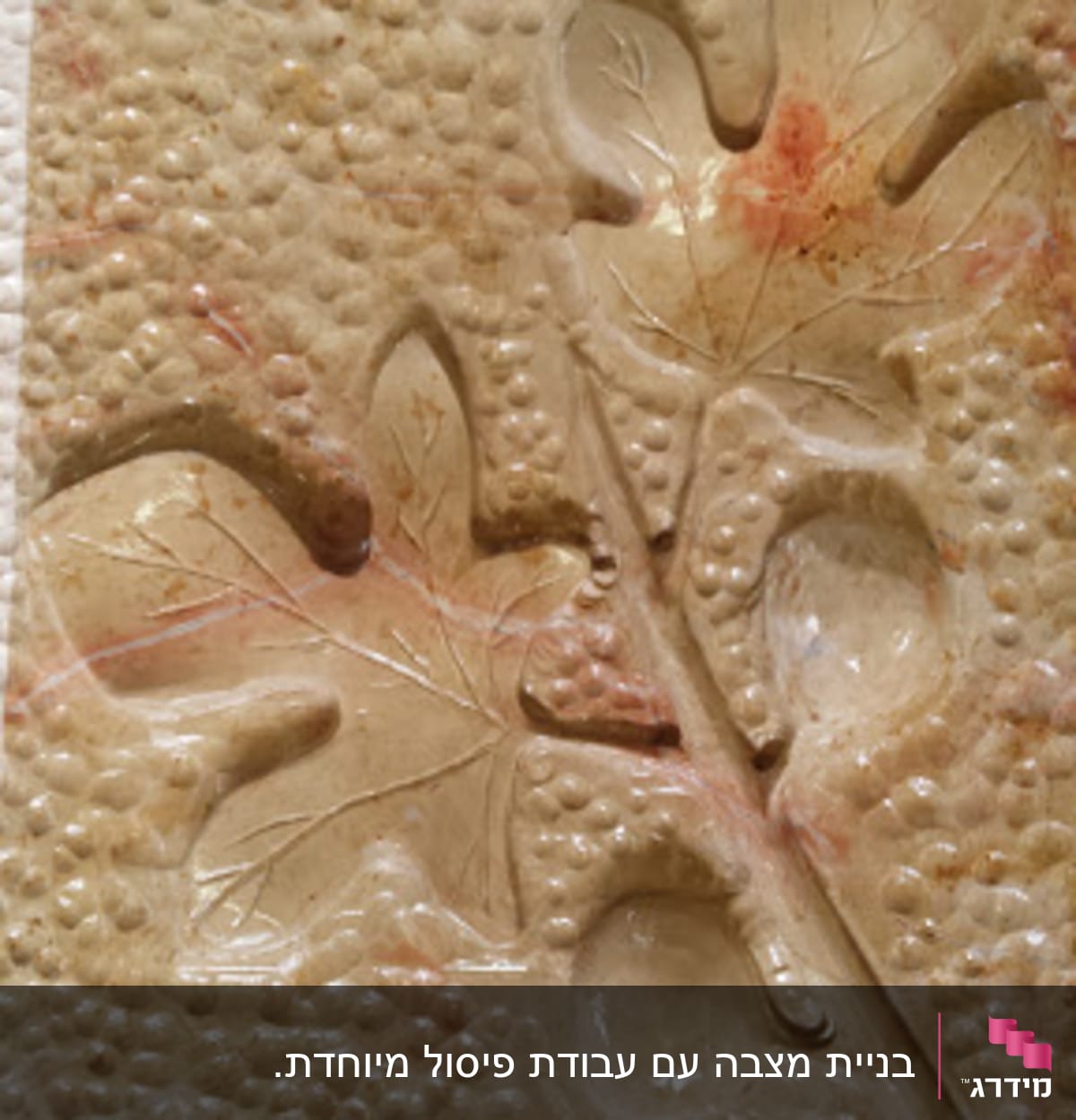 תבליט עלה על מצבה עם רקע מחוספס